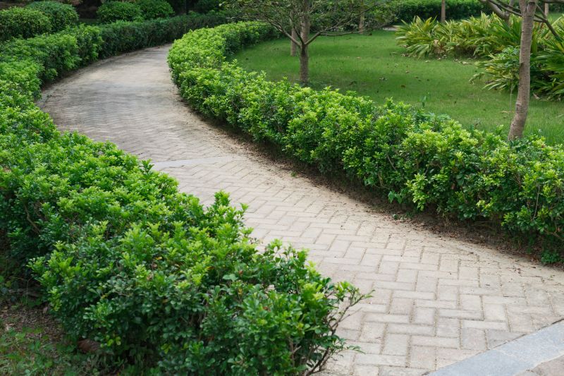 Walkway with Patterned Pavers