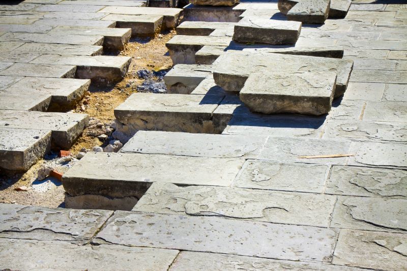 Paving Stone Repair